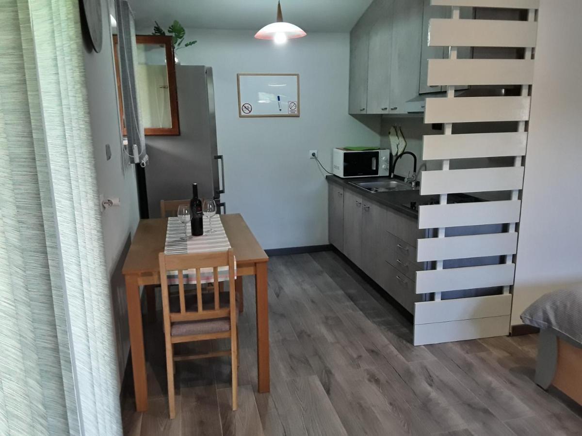 Apartman Studio Erin ロヴィニ エクステリア 写真