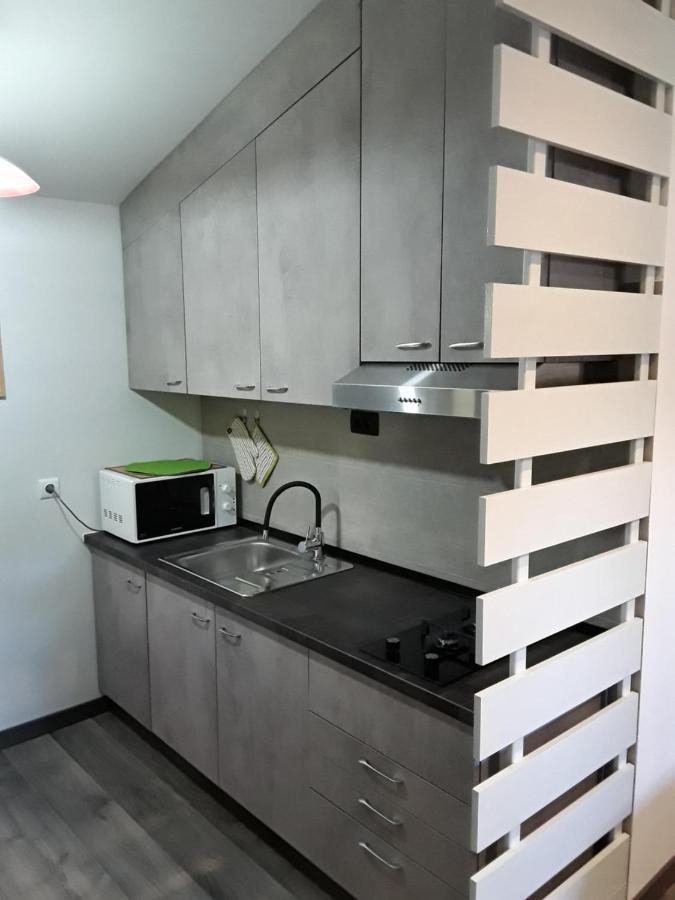 Apartman Studio Erin ロヴィニ エクステリア 写真